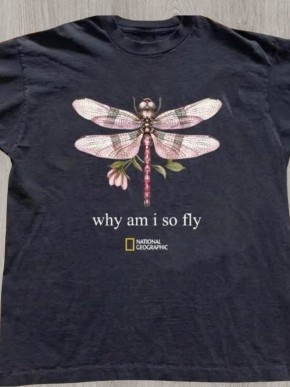 National Geographic "Why Am I So Fly" Dragonfly Graphic Tee
